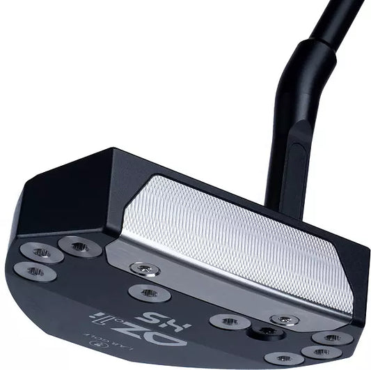 Golf putter with a black and silver head on a white background