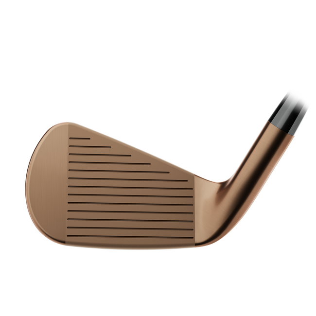 [Limited Edition] Titleist T-250 - Oil Can Irons | Right